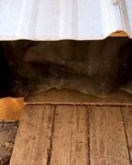 Now you've seen everything