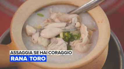 Assaggia se hai coraggio: Congee di rana