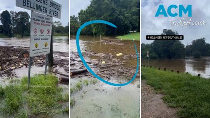Watermelons flow down the swollen Bellinger River, NSW