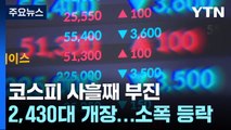 코스피, 2,430대에서 개장...소폭 등락 거듭 / YTN