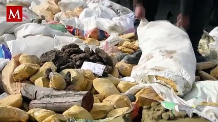 Ecuador convierte cocaína decomisada en bloques de cemento para construcción