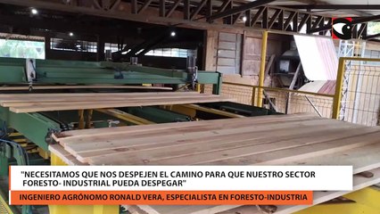 Necesitamos que nos despejen el camino para que nuestro sector foresto- industrial pueda despegar
