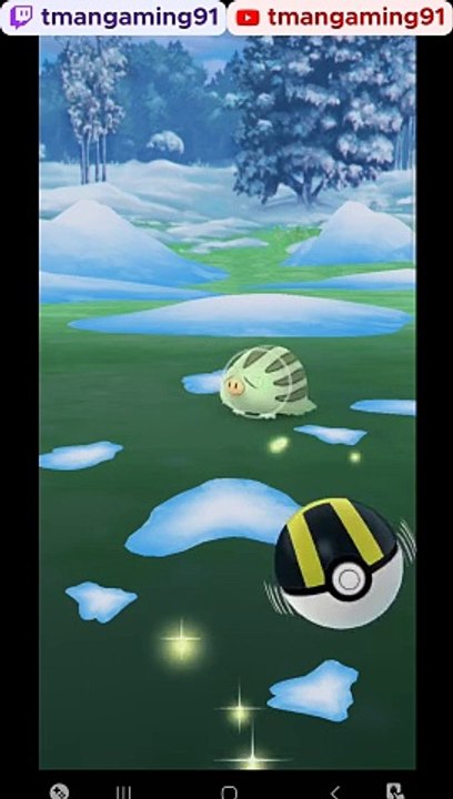 Pokémon GO-Shiny Swinub