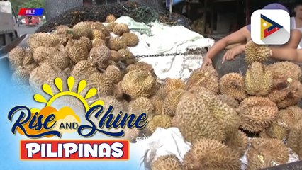 DA: Pag-export ng Pilipinas ng Durian sa China, tuloy