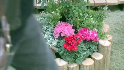 無料映画シアター - おかえりモネ #27