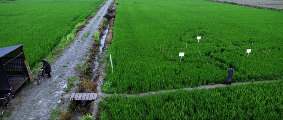 16 大江大河3第16集预告：2024最新剧集精彩上线🔥