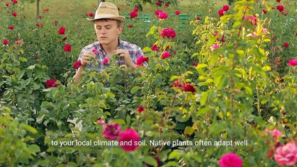 The Ultimate Green Thumb's Guide: Year-Round Gardening Tips and Tricks