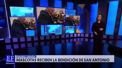 Mascotas recibieron la bendición de San Antonio