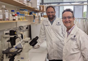 Could molecule in deadly spider venom treat heart attack and stroke?