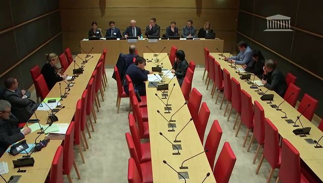 Délégation aux collectivités territoriales et à la décentralisation : M. Gilles Carrez, président du CNEN - Mercredi 17 janvier 2024