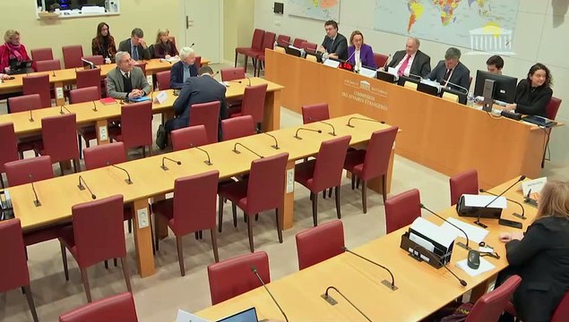 Commission des affaires étrangères : Convention entre le Gouvernement de la République française et le Gouvernement de la République de Moldavie ; M. Lionel Zinsou, fondateur et partenaire managérial de SouthBridge - Mercredi 17 janvier 2024