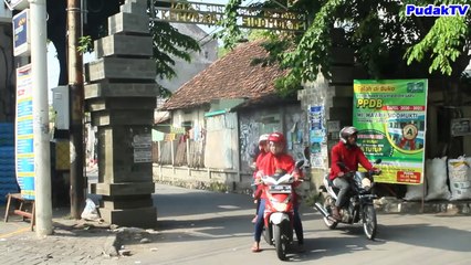 Naik 109 Tangga Situs GIRI KEDATON Nemu Banyak Mengkudu