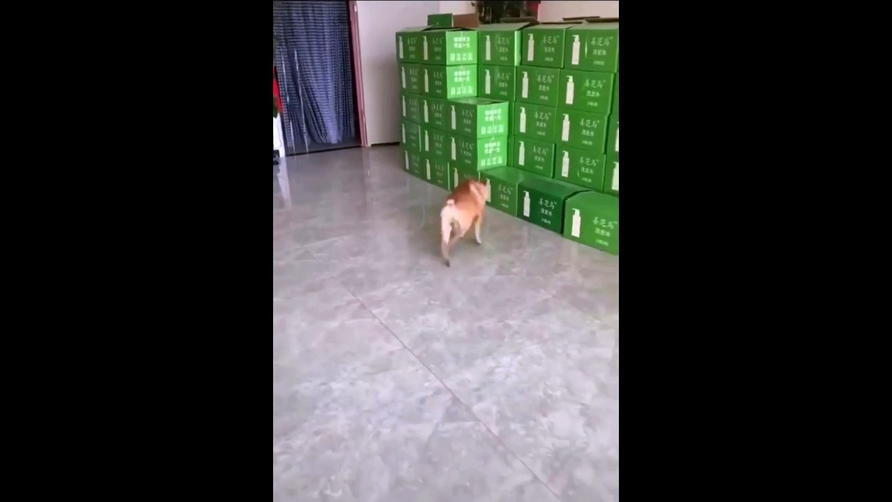 I believe I can fly