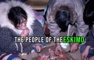 The reasons that made the people of the Eskimo eaten meat raw