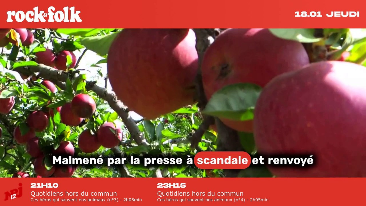 Scandale en Angleterre : le jour où les Sex Pistols ont choqué avec "God Save The Queen