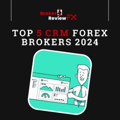 TOP 5 CRM Forex Brokers 2024