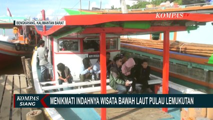 Belibur ke Wisata Pulau Lemukutan, Lakukan Aktivitas Snorkeling Menikmati Bawah Laut