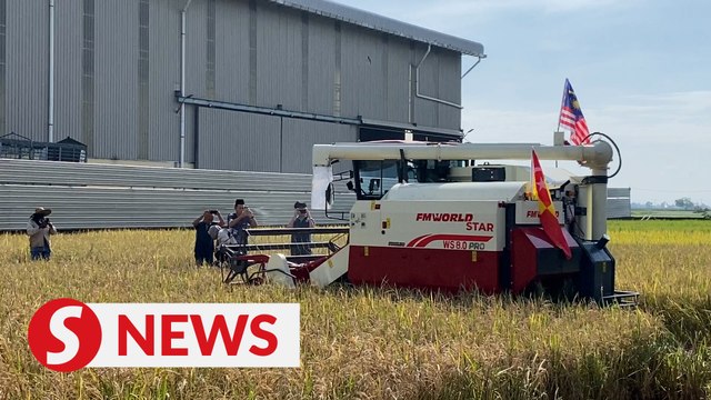 Amirudin: Sekinchan paddy cultivation method to be explanded to other areas