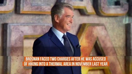 Pierce Brosnan pleads not guilty to 'petty offences'