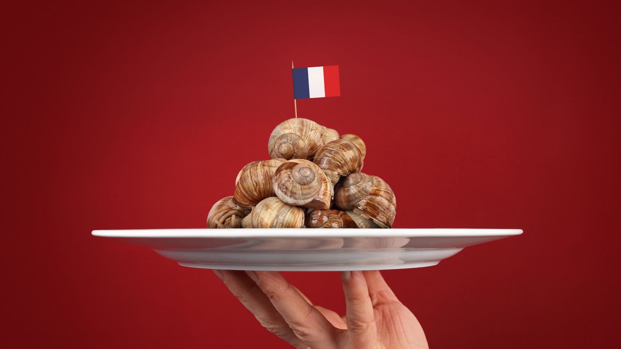 Peut-on manger des escargots pendant la grossesse ?