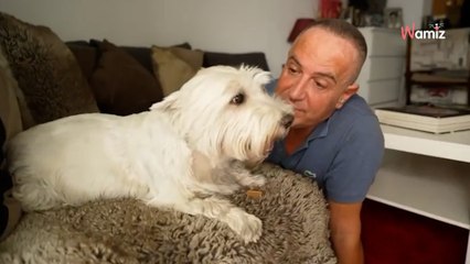 Famosos españoles que lloraron la pérdida de sus perros en 2023