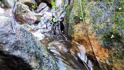 fishing Day _ صيد السمك في المغرب