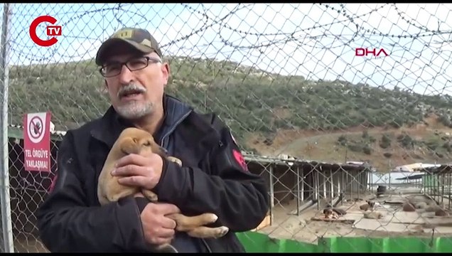 SOKAK HAYVANLARINA KLASİK MÜZİKLİ TERAPİ