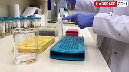 Dünyada en çok aranan leopar sazanı Dicle Nehri'nde bulundu