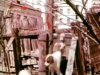 Внимание! В городе волшебник! | movie | 1963 | Official Clip