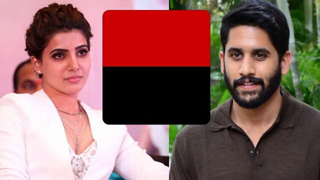 Akkineni Nagarjuna పెద్ద కొడుకు ని ఉద్దేశించి Samantha పరోక్ష వ్యాఖ్యలు | Telugu OneIndia