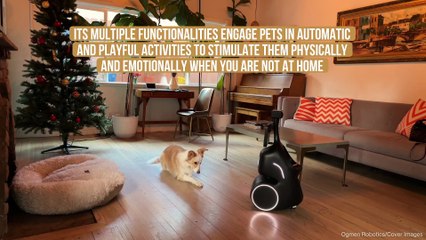 Robotics Firm Builds 'ORo' - A Robot Dog Sitter