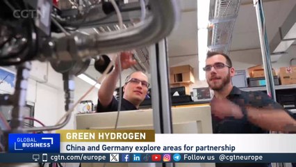 China and Germany explore green hydrogen partnership