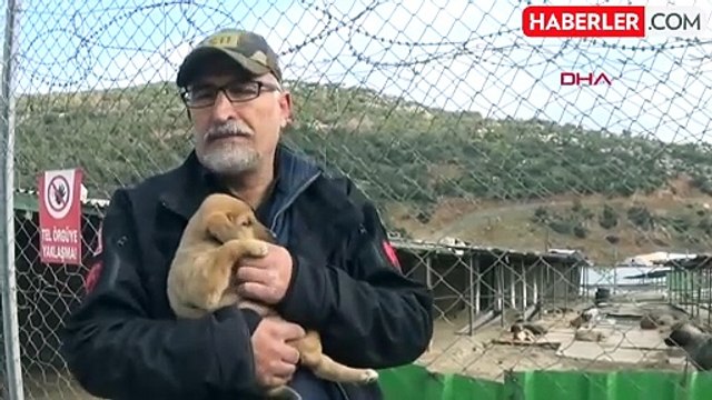 Gaziantep İslahiye Belediyesi Sokak Hayvanlarına Klasik Müzik Dinletiyor