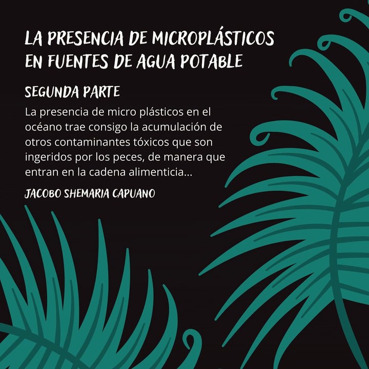 -Jacobo Shemaria Capuano- ¿Cuántos microplásticos hay en el agua? (Parte 2) (Creado por @JacoboShemariaCapuano)