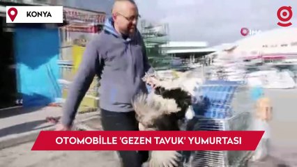 Konyalı üreticiden otomobilde 'Gezen tavuk' yumurtası