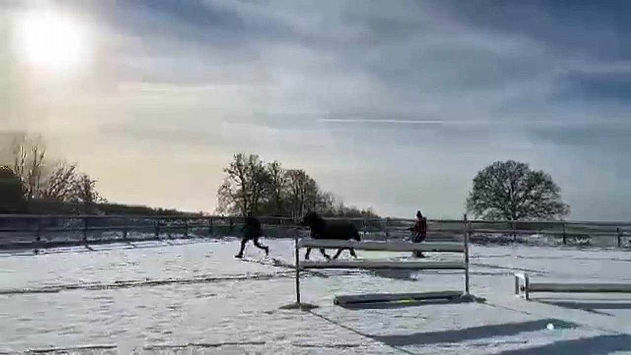 Près de Rouen, Albane a chaussé les skis avec Bonheur, le poney