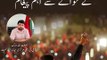 پاکستان تحریک انصاف نے اپنے قومی اور صوبائی اسمبلی کے امیدواروں کی حتمی فہرستیں جاری کردی ہیں۔