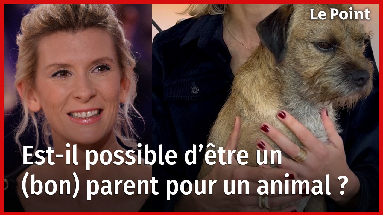 « J'ai préféré prendre un chien plutôt qu'un enfant »