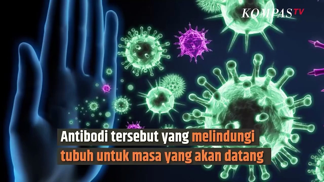 Dear Orang Tua, Ini lo Alasan Bayi dan Anak Waj...