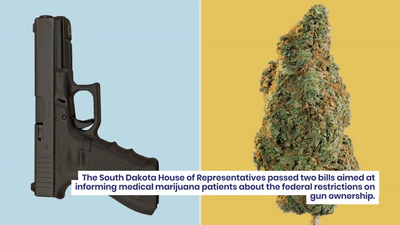 Guns And Weed: South Dakota House Passes Bill Forcing Cannabis Shops To Warn Customers Of Fed Firearms Ban