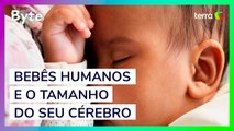 Bebês humanos são mais atrasados que os de outras espécies. Por quê?