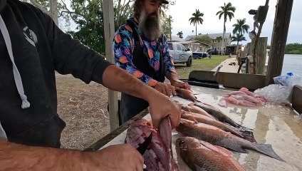 Hawk Steals Filets From Fisherman