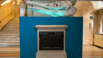 Top 5 Bristol News Stories This Week: Sea Dragon Fossil, New Dr Who Museum & More 📰