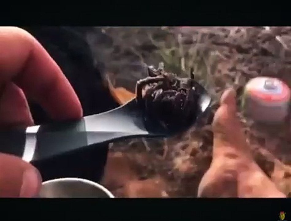 A Guy eats a Spider meme