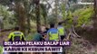 Digerebek Polisi, Belasan Pelaku Balap Liar Kabur ke Kebun Sawit di Bengkulu