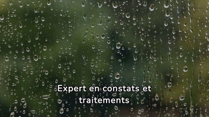 entreprise de traitement d'humidité à Aumetz  - Soshumidite -