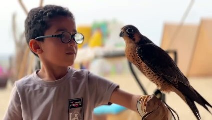 شتاء جازان.. "سمرة شاهين" تجذب هواة مخيمات الرمال الذهبية بتلال حنباص