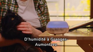 entreprise de traitement d'humidité à Granges-Aumontzey - Soshumidite -