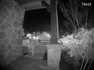 Delivery Driver Allegedly Steals Delivery Food