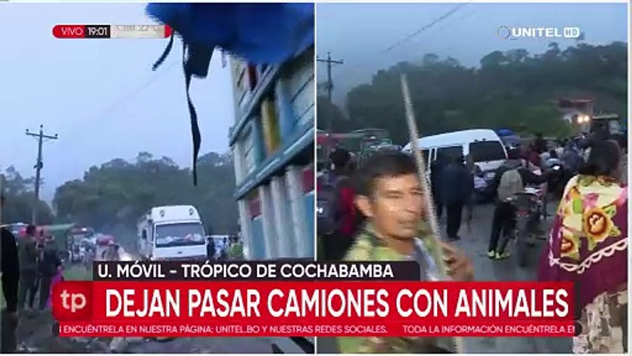 De manera excepcional, bloqueadores en Locotal dieron paso a vehículos con ganado faneado y animales vivos